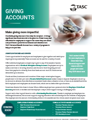 giving accounts document