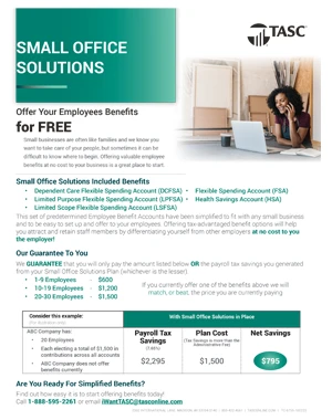 Small Office Solutions Client Flyer